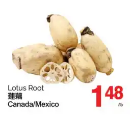 T&T Supermarket LOTUS ROOT offer