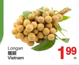 T&T Supermarket LONGAN offer