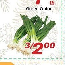 Nations Fresh Foods Green Onion offer