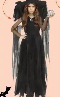 Party City Tattered Witch Halloween Costume with Hat, Black, Child, More Options Available offer