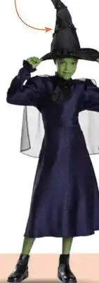 Party City Wicked Elphaba Halloween Costume with Cape, Dress & Hat, Black, Child, More Options Available offer