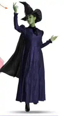 Party City Wicked Elphaba Dress Costume with Hat, Black, Adult, More Options Available offer