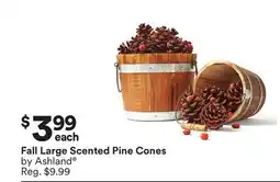 Michaels Fall Large Scented pine Cones by Ashland offer