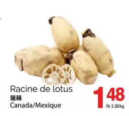 T&T Supermarket RACINE DE LOTUS offer