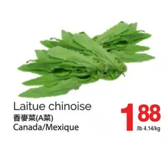 T&T Supermarket LAITUE CHINOISE offer