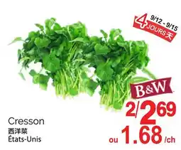 T&T Supermarket CRESSON offer