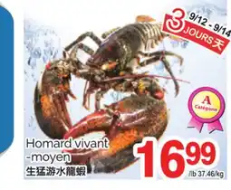 T&T Supermarket Homard vivant-moyen offer