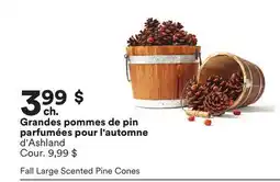 Michaels Grandes pommes de pin parfumées pour l'automne d'Ashland offer