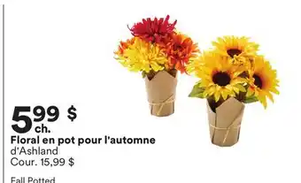 Michaels Floral en pot pour l'automne d'Ashland offer