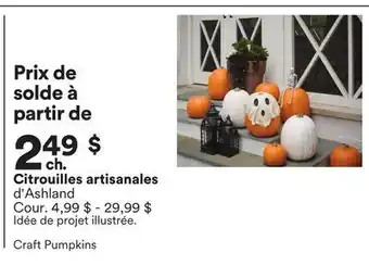 Michaels Citrouilles artisanales d'Ashland offer