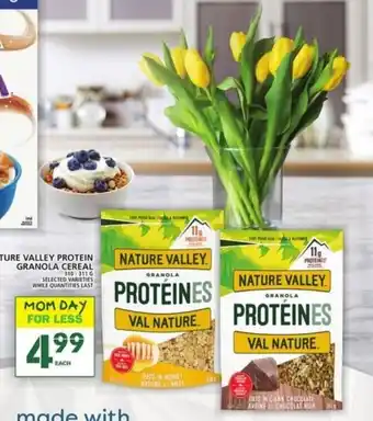 Food Basics Nature Valley Protein Granola Cereal offer