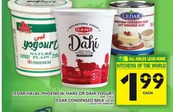 Food Basics Cedar Halal Phoenicia Hans or Dahi Yogurt offer