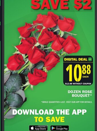 Food Basics Dozen Rose Bouquet offer