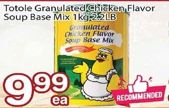Nations Fresh Foods Totole granulated chicken flavor soup base mix offer