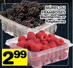 Supermarché PA MÛRES OU FRAMBOISES | Blackberries or Raspberries offer