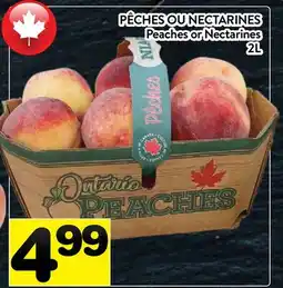 Supermarché PA PÊCHES NECTARINES | Peaches or Nectarines offer