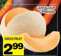 Supermarché PA CANTALOUP | Cantaloupe offer