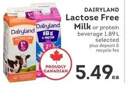 IGA Dairyland Lactose Free Milk offer
