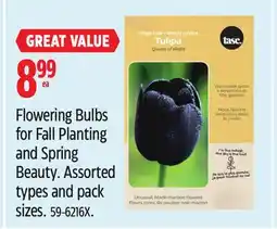 Canadian Tire Flowering Bulbs for Fall Planting and Spring Beauty offer