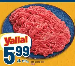 Marché Adonis Lean ground beef Halal offer
