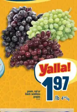 Marché Adonis Green, red or black seedless grapes offer