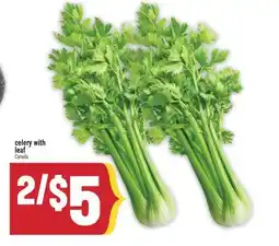 Marché Adonis Celery with leaf offer