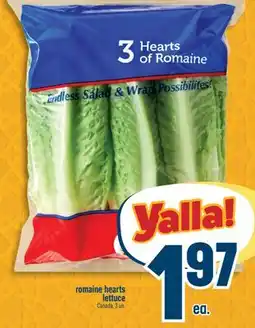 Marché Adonis Romaine hearts lettuce offer