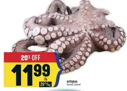 Marché Adonis Octopus offer