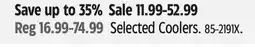 Canadian Tire Igloo Selected Coolers offer