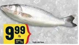 Marché Adonis Fresh sea bass offer