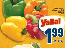 Marché Adonis Green, orange, yellow or red field peppers offer