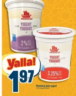 Marché Adonis Phoenicia plain yogurt offer