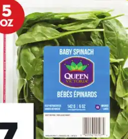 Giant Tiger 5 oz baby spinach offer