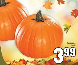 Marché Adonis Pumpkins offer