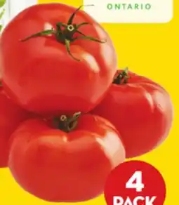 Giant Tiger 4 pack tomatoes offer