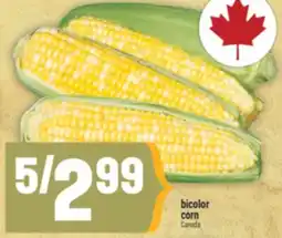 Marché Adonis Bicolor corn offer