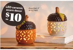 Giant Tiger LED ceramic acorn decor offer