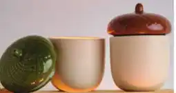 Giant Tiger 6.3 oz acorn candle offer