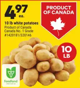 Giant Tiger 10 lb white potatoes offer