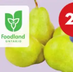 Giant Tiger 2 L Bartlett pears offer