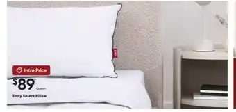 Sleep Country Endy Select Pillow offer