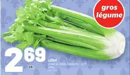 Metro CÉLERI | CELERY offer