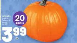 Metro CITROUILLE | PUMPKIN offer