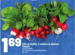 Metro RADIS EN FEUILLES, 3 COULEURS OU DÉJEUNER FRANÇAIS | TOP, 3 COLOURS OR FRENCH BREAKFAST RADISHES offer