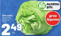 Metro LAITUE ICEBERG offer