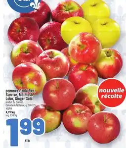 Metro POMMES PAULA RED, SUNRISE, MCINTOSH, LOBO, GINGER GOLD | APPLES offer