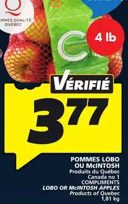 IGA COMPLIMENTS LOBO OR McINTOSH APPLES offer