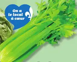 IGA CELERY offer