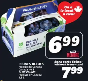 IGA BLUE PLUMS offer