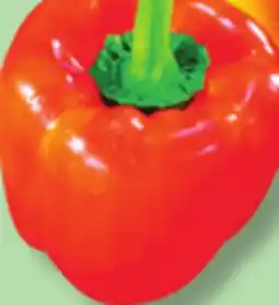 IGA SWEET YELLOW, ORANGE, RED, RED SHEPPARD OR GREEN FIELD PEPPERS offer